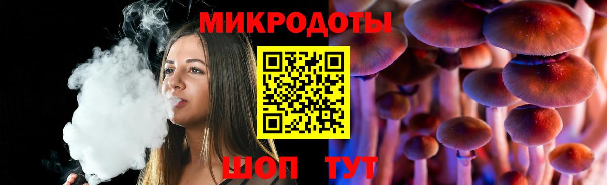Псилоцибиновые грибы Cubensis Черногорск